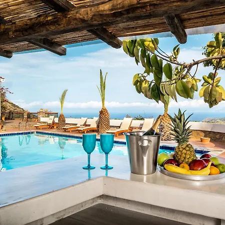 Leyla Luxury Villa *